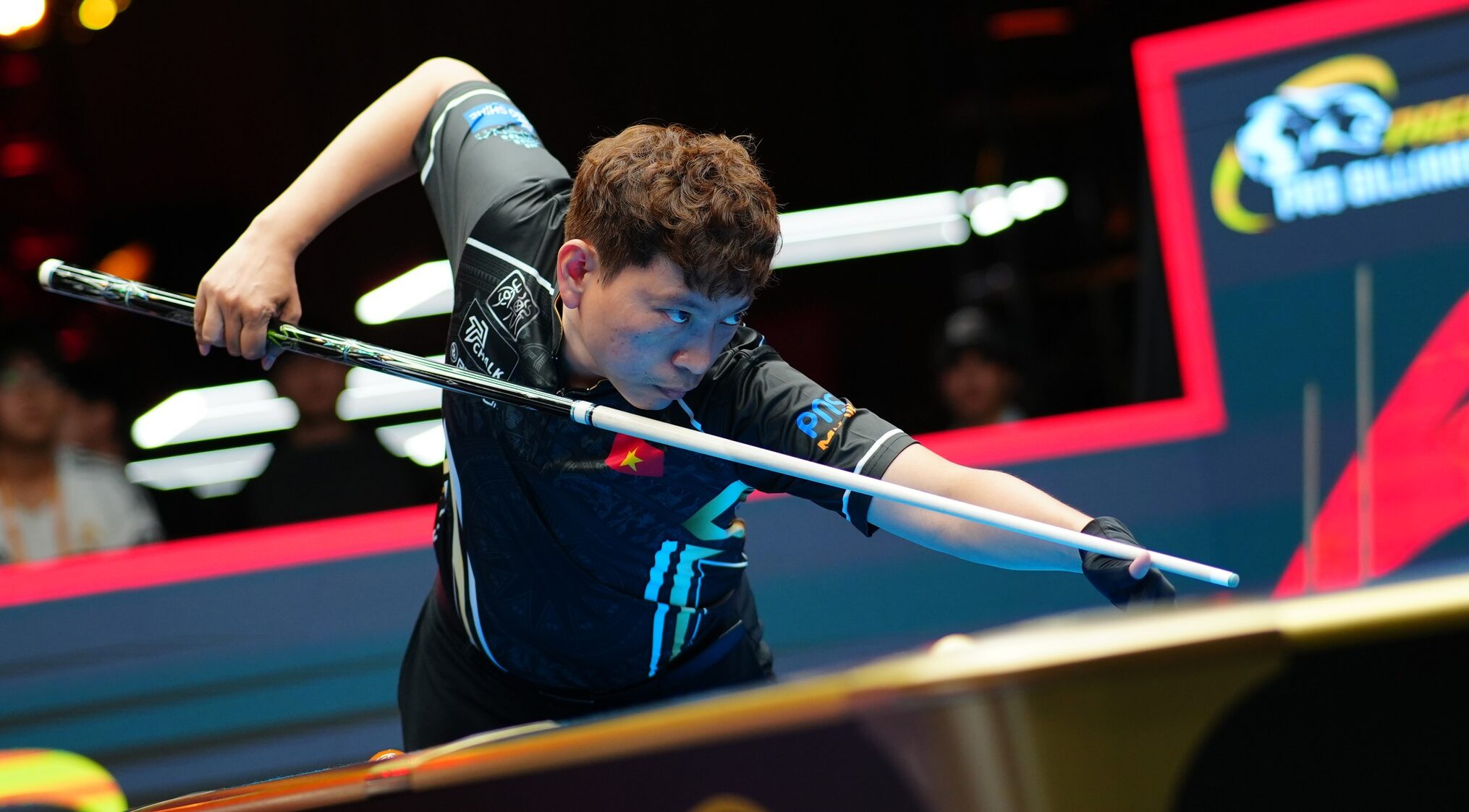 hình-anh-duong-quoc-hoang