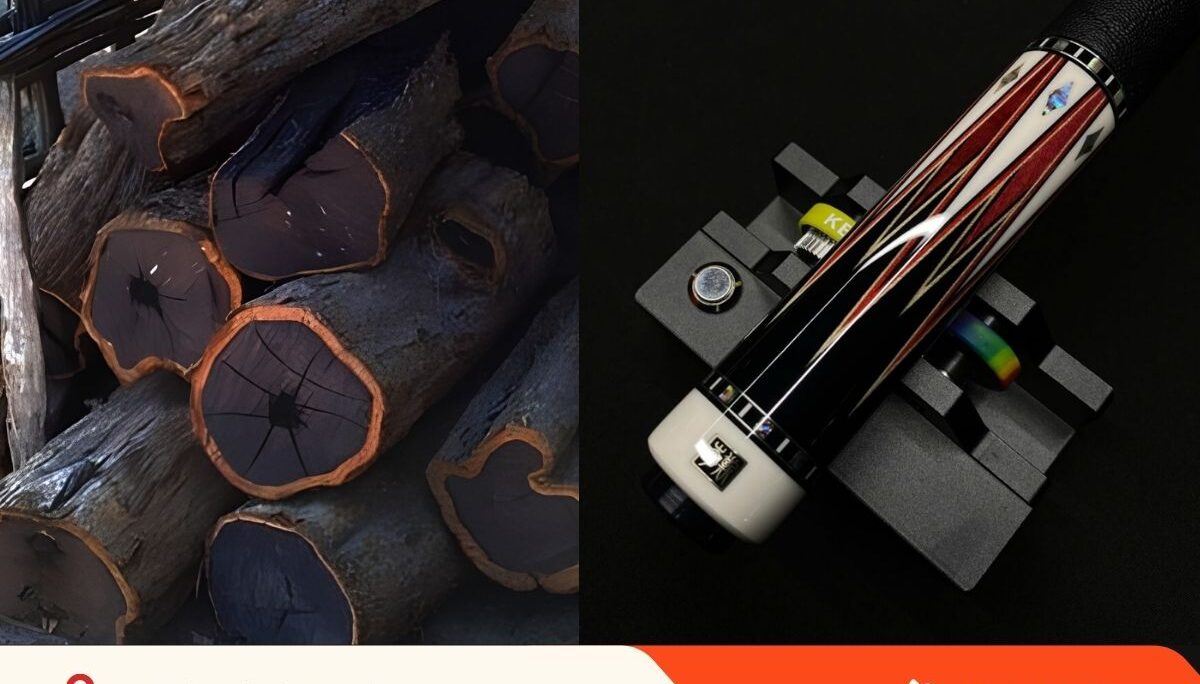 Gỗ Ebony là gì? Tại sao được gọi là “vàng đen” trong chế tác cơ bida.