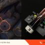 Gỗ Ebony là gì? Tại sao được gọi là “vàng đen” trong chế tác cơ bida.