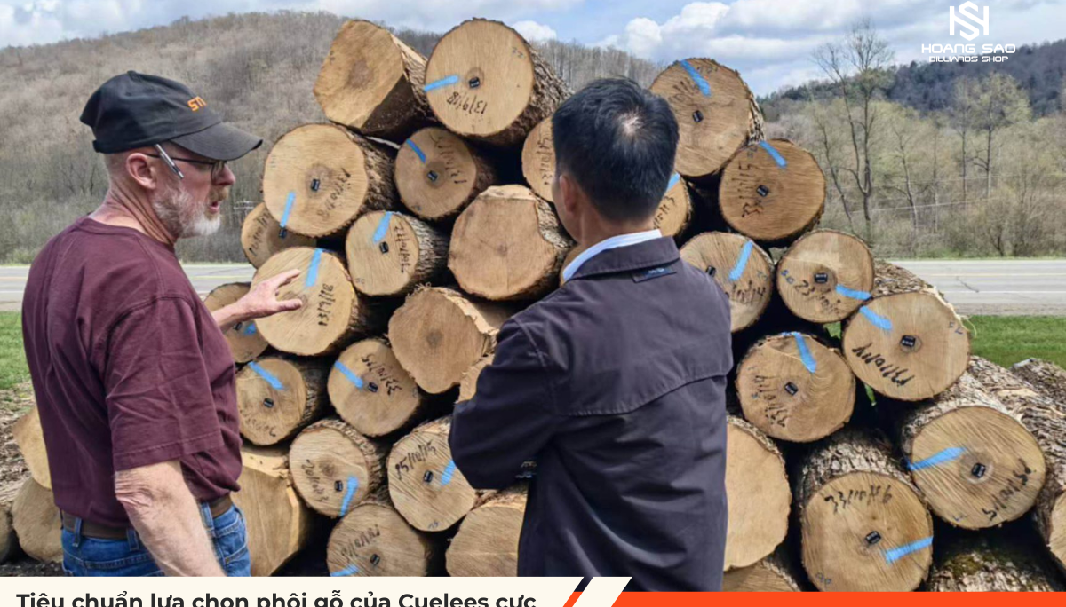 Nguồn Gốc Gỗ Tạo Nên Gậy bida Cuelees, Cueroc & O’min