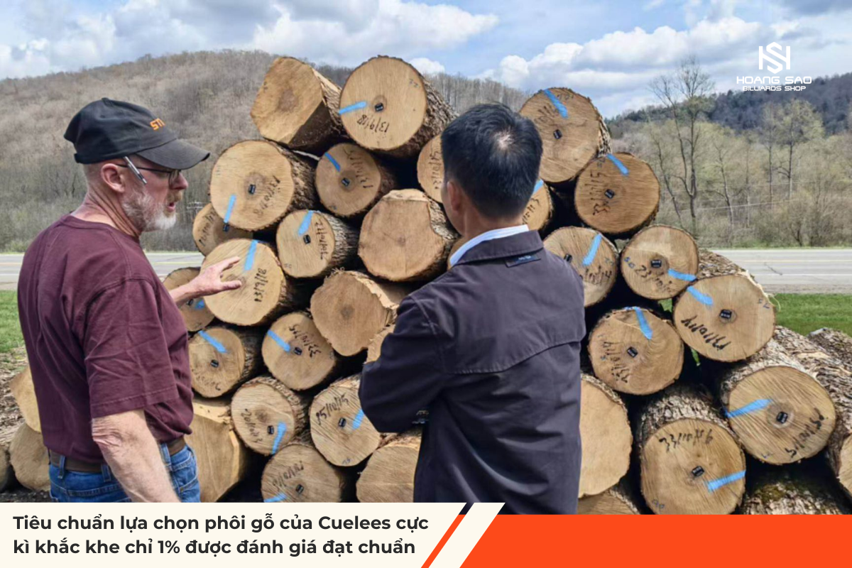Nguồn Gốc Gỗ Tạo Nên Gậy bida Cuelees, Cueroc & O’min
